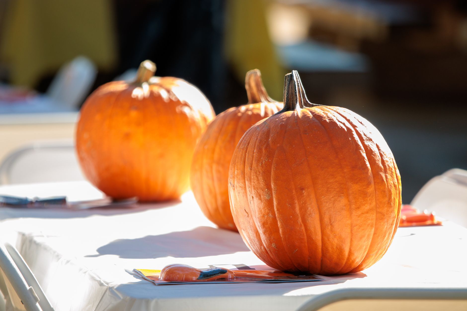 90+ Halloween Events and Fall Activities for Kids Near Fredericksburg, VA